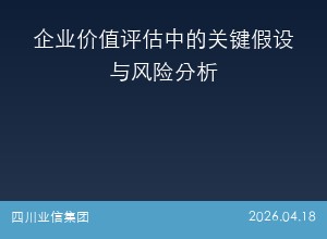 企业价值评估中的关键假设与风险分析