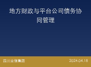 地方财政与平台公司债务协同管理