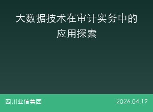 大数据技术在审计实务中的应用探索