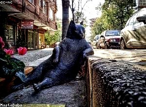 区域科技创新生态系统的培育策略