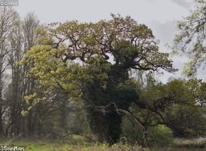 绿色金融助力地方政府可持续发展