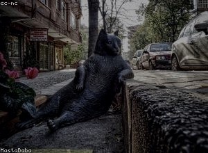 无形资产评估方法的创新与应用