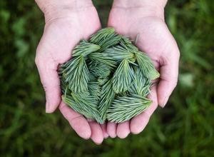 天使投资人项目筛选逻辑与风险识别方法